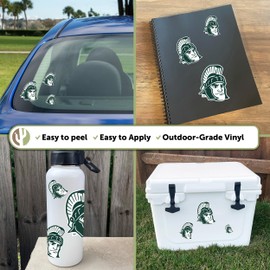 Desert Cactus Michigan State University Sticker Spartans MSU Vinyl Decals Laptop Water Bottle Car Scrapbook T3 (Type 3-4)