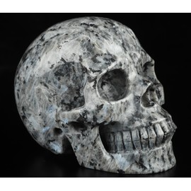 Skullis 5.0”Larvikite Crystal Skull, Hand Carved Gemstone Fine Art Sculpture, Reiki Healing Stone Statue.511