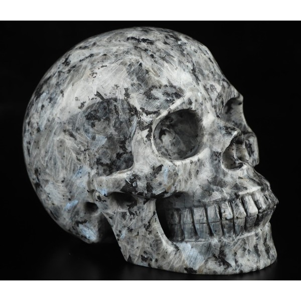 Skullis 5.0”Larvikite Crystal Skull, Hand Carved Gemstone Fine Art Sculpture,