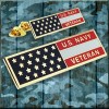 Navy Veteran Flag Lapel Pin