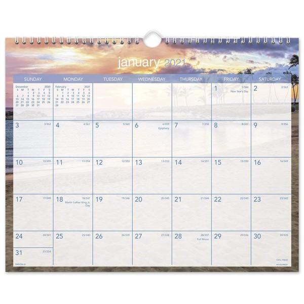 2021 Wall Calendar by AT-A-GLANCE, 15" x 12", Medium, Monthly,