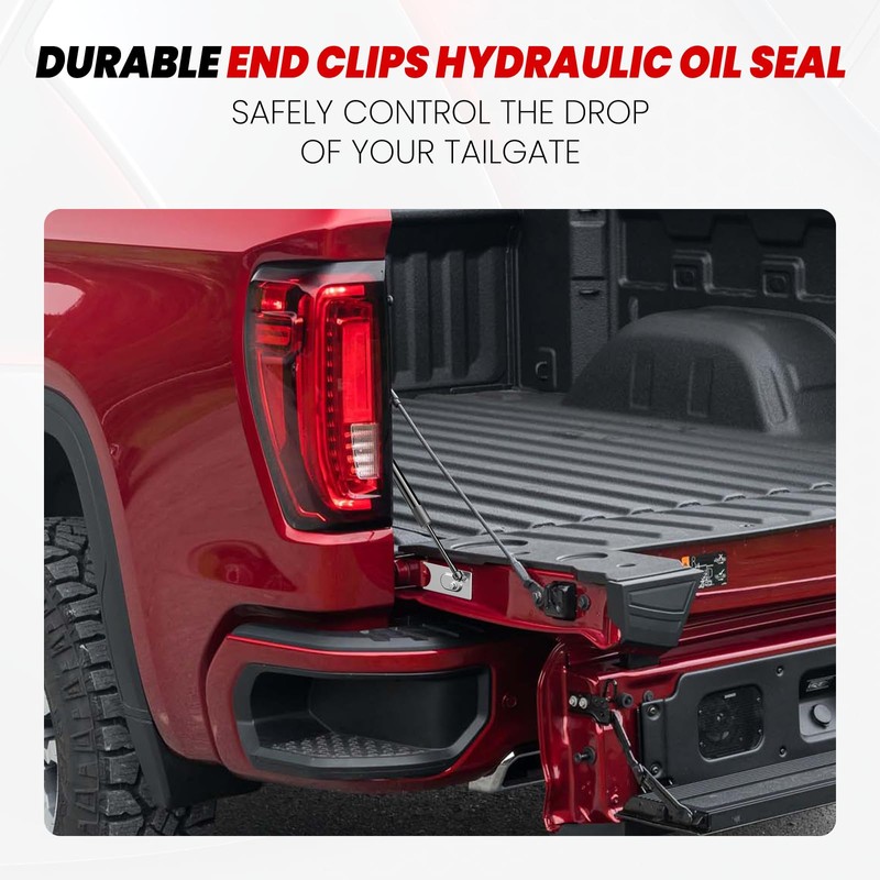 IAQWE Truck Tailgate Assist Shock 43301 Compatible with 2009-2018 Dodge