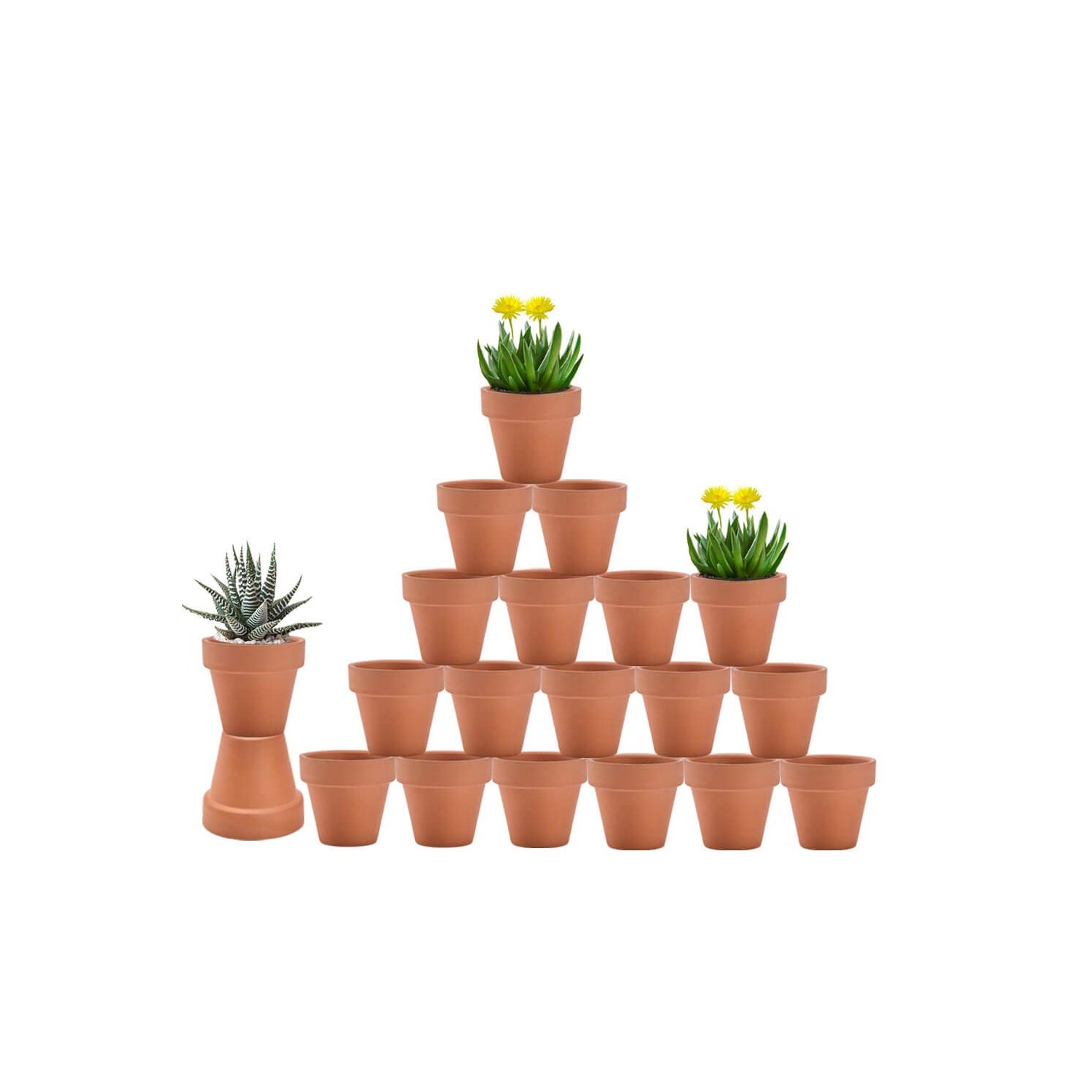3 Inch Terracotta Potsnull