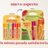 Burt's Bees Kit Freshly Picked Lip Balm 4 unidades