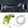 Parrot Flying Rope, 6 m Parrot Bird Anti Bite Flying