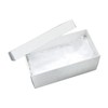 Angel Box (Coffin Set for Stillborn Babies): 77.8 x 37.4
