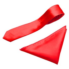 Caprilite Mens Neck Tie and Pocket Square Handkerchief Set Hanky Wedding Skinny Red