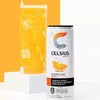 Celsius Essential Energy Sparkling Variety Pack (12 fl. oz., 6