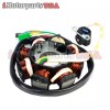 IMPUSA TRAILMASTER XRS XRX 150 150CC GO KART BUGGY MAGNETO STATOR PART # 152.07.102 NEW
