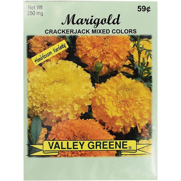 Set of Flower Seed Packets! Flower Seeds in Bulk -