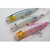 momolures - ULTIMA POPPER 120 30g Floating lure for Bass,