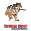 Timber Wolf Bandsaw Blade 1/2" x 72", 4 TPI