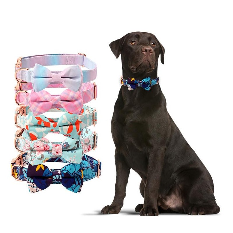 Dog Collar with Adjustable Bow Tie (Blue Floral, X-Large)