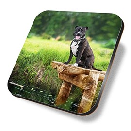 1 x Square Coaster - Happy Staffordshire Bull Terrier Dog Staffy Cork Backed MDF Glossy Tea Coffee Accessory #51137