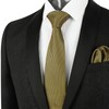 Alizeal Mens Solid Color Tie and Hanky Unique Classic for