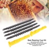 Bee Cell Cups Kit Queen Rearing System Cultivating Queen Cage