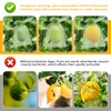 30Pcs Fruit Protection Bags Set, Reusable Fruit Netting Bags for