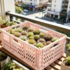 2 Pack Pastel Plastic Storage Baskets-20L Space-Saving Bins