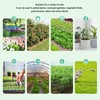 Soil Moisture Meter Professional Moisture Nutrients PH 3 in 1
