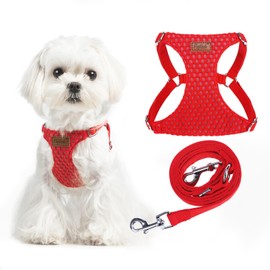 PUPTECK Dog Harness and Leash Set Small Sized, Step-in Cute Puppy Harness, Soft Lightweight Padded Vest, Escape Proof No Pull Pet Harnesses Easy for Walking, Red, XXS
