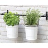 Panacea 82631 Vintage Milkhouse Planter Buckets with Hanging Bar