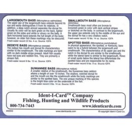 Ident-I-Cards Bass Family Freshwater Fish Identification Card