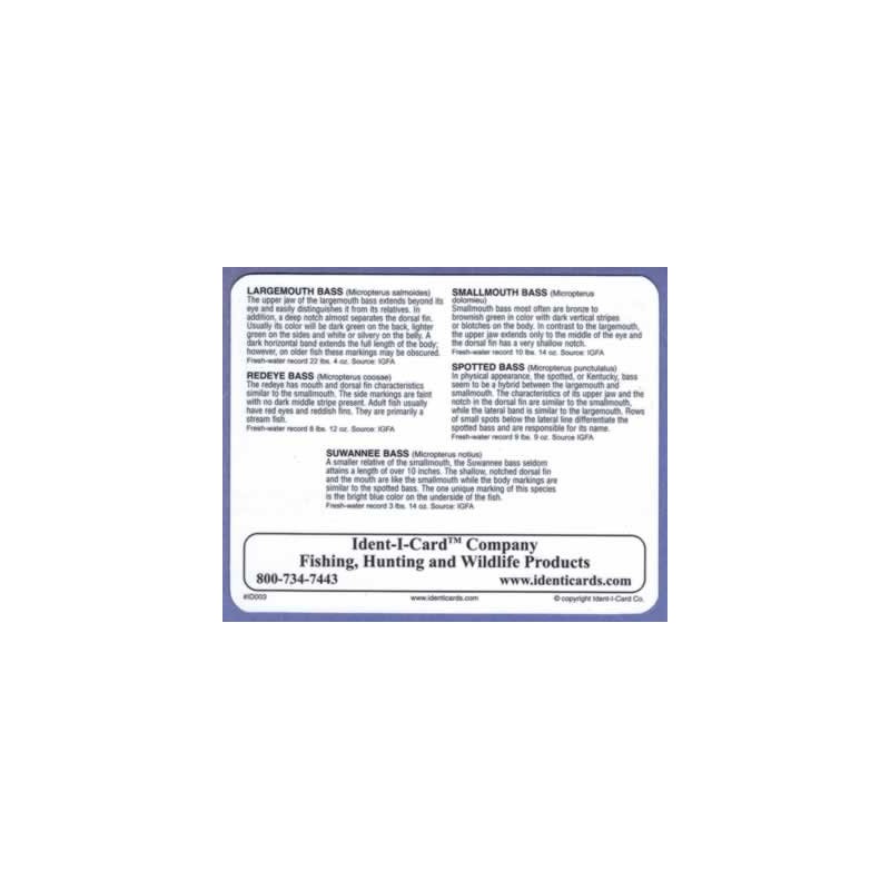 Ident-I-Cards Bass Family Freshwater Fish Identification Card