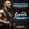 Creatina Monohidratada 100% Pura Sin Sabor Pack 3 500g