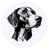 24 x 40mm Round 'German Shorthaired Pointer' Stickers (SK00069918)