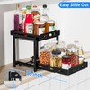 BOIVSHI Pull Out Spice Racks for Inside Cabinets, 2-Tier Cabinet
