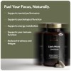 Lion's Mane Limitless | 4000mg Per Serving | Supports Brain