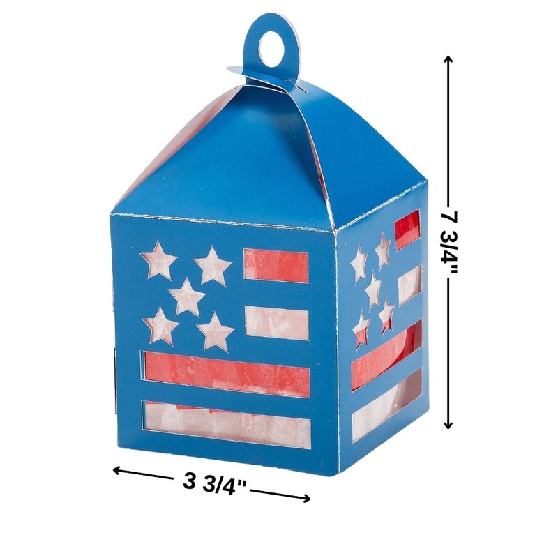 Fun Express American Flag Tissue Paper Lantern Craft Kit -