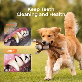 Squeaky Dog Toys with Crinkle Paper Durable Cute Plush Monkey Tug of War Puppy Toy to Keep Them Busy for Small Medium Large Dogs