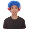 Patriotic Costa Rica Flag Afro Wigs