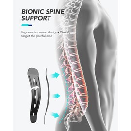 Fitomo Lendenwirbelstütze für Herren, Damen, mit ergonomischer Unterstützung und Schienen aus Carbonfaser, ultradünnes Netzgewebe, Lendenwirbelstütze für Rückenschmerzen, Ischias, Arbeit, Haltung