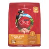 Purina ONE Chicken and Rice Formula Dry Dog Food -