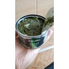 Far Eastern "Dobroflot" Seaweed Salad (7.8 Ounce / 220 Gram)