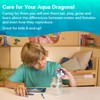 Aqua Dragons 4002" Unterwasserwelt Spielzeug, 6 bis 99 Jahre alt,