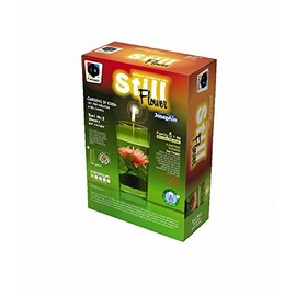 Josephin ELF294002 Still Flower The Set of Eden, Multi Colour, One Size