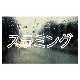 Slammed car Window JDM Decal / Sticker - Pick Your Color - 8" x 2" - Japanese Style- Durable Will Last up to 6 Years Outdoors - Precision Cut Vinyl- Made in The USA - Custom Look