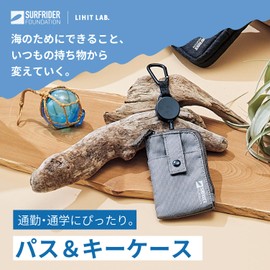 Lihit Lab SFJ x LIHIT LAB. Pass & Key Case, Seaweed Green A3203-22