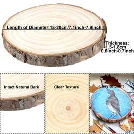 2 Stück Holzscheiben, Holzscheiben 18-20 cm Durchmesser, Runde Baumscheiben Holzplatte Ca.15mm Dicke für DIY Handwerk Holz-Scheiben Hochzeit Mittelstücke Weihnachten Dekoration Baumscheibe