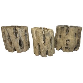 Awesome Industries 3 Natural Cholla Wood Air Plant Display Holders 2 inch Individually Unique Round Decorative Stands