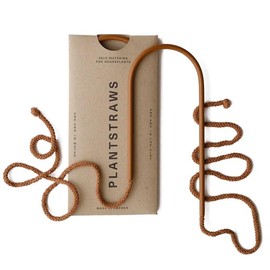 Plantstraws Beautiful Self-Watering Wick System for Effortless Plant Care, Automatic Drip Irrigation, Sustainable & Stylish Scandinavian Design, Ideal for House Plants (S, Brown Terracotta)
