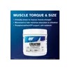 Suplemento En Polvo Gat Creatina X 500g 100 Servicios