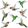8 Large Beautiful Humming Bird Static Cling Window Stickers -