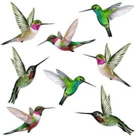 8 Large Beautiful Humming Bird Static Cling Window Stickers - Hummingbird Anti Collision Bird Strike Window Stickers - Unique Double Sided Print
