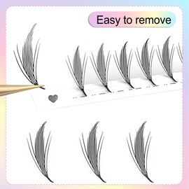 Pteris Lashes Extensions Anime Chunk Manga Lash Fans C/D Curl Spiky Wispy Lash Feather Shape Natural Comic EyeLashes 0.07mm lndividual Lashes Premade Winged Lash Fans(Black Pteris, 0.07-C-13mm)