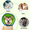 Soft Recovery Collar for Dogs and Cats Post-Surgery - Adjustable