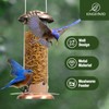 Kingsyard Upgraded Bluebird Feeder for Outdoors Hanging, Metal Mealworm Tube